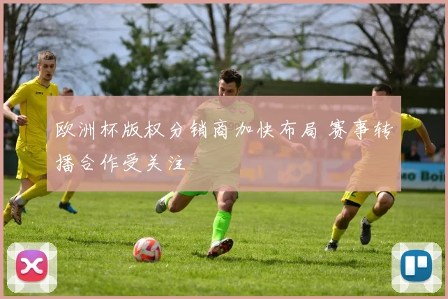 欧洲杯版权分销商加快布局 赛事转播合作受关注