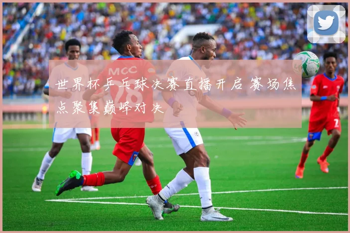 世界杯乒乓球决赛直播开启 赛场焦点聚集巅峰对决
